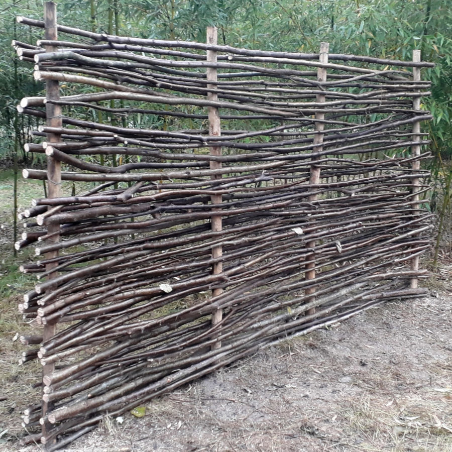 La cupola verde: creazione di uno spazio di incontro nel bambuseto