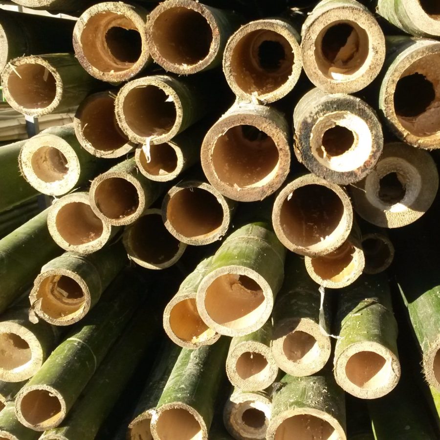 WORKSHOP: Le canne di bambù