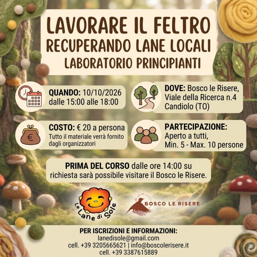 Lavorare il feltro recuperando lane locali – Laboratorio per principianti